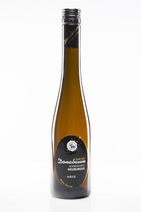 스핏즈 Weingut Donabaum "In Der Spitz" 아파트 외부 사진