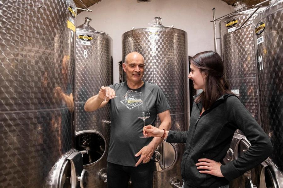 스핏즈 Weingut Donabaum "In Der Spitz" 아파트 외부 사진
