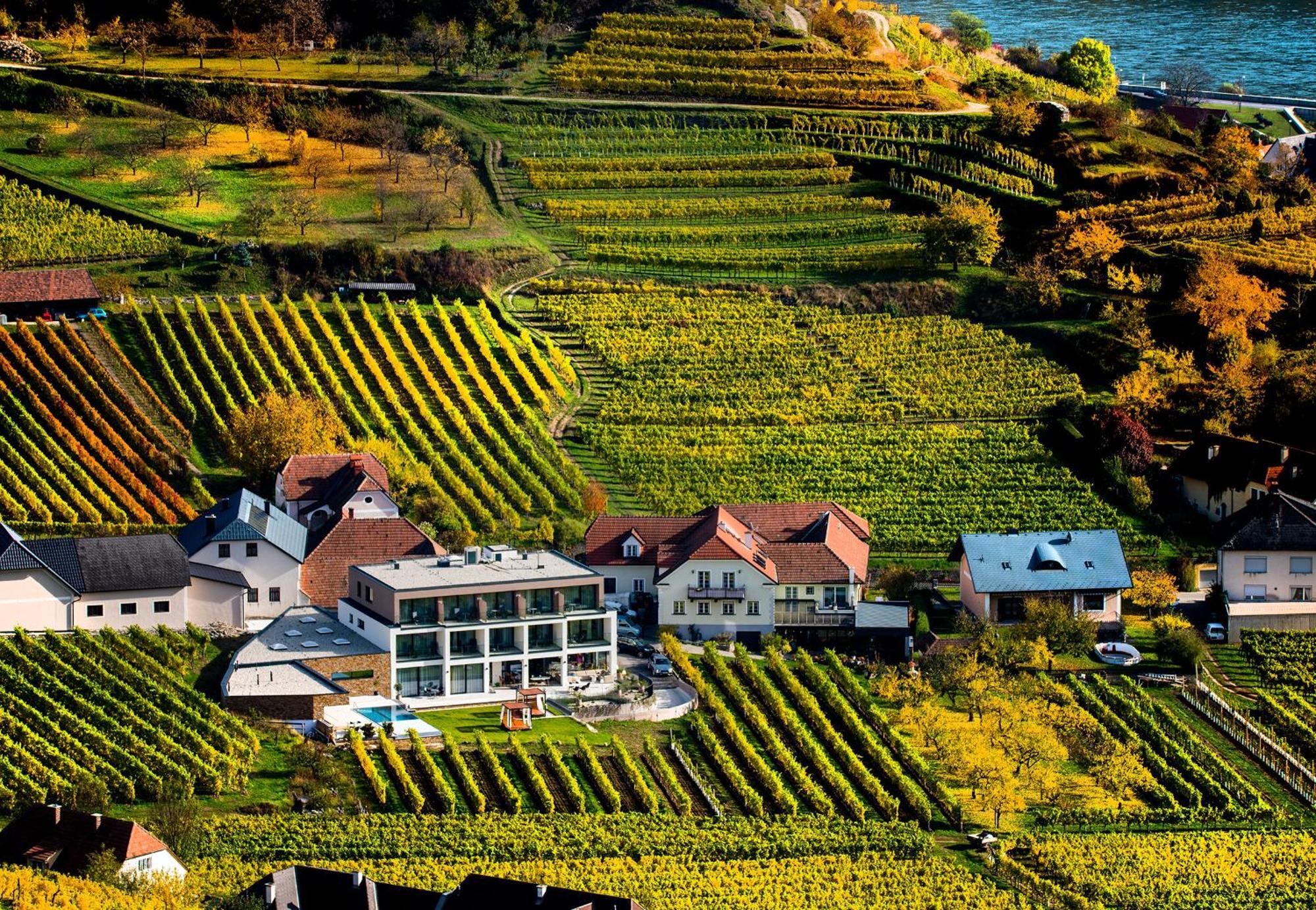 스핏즈 Weingut Donabaum "In Der Spitz" 아파트 객실 사진