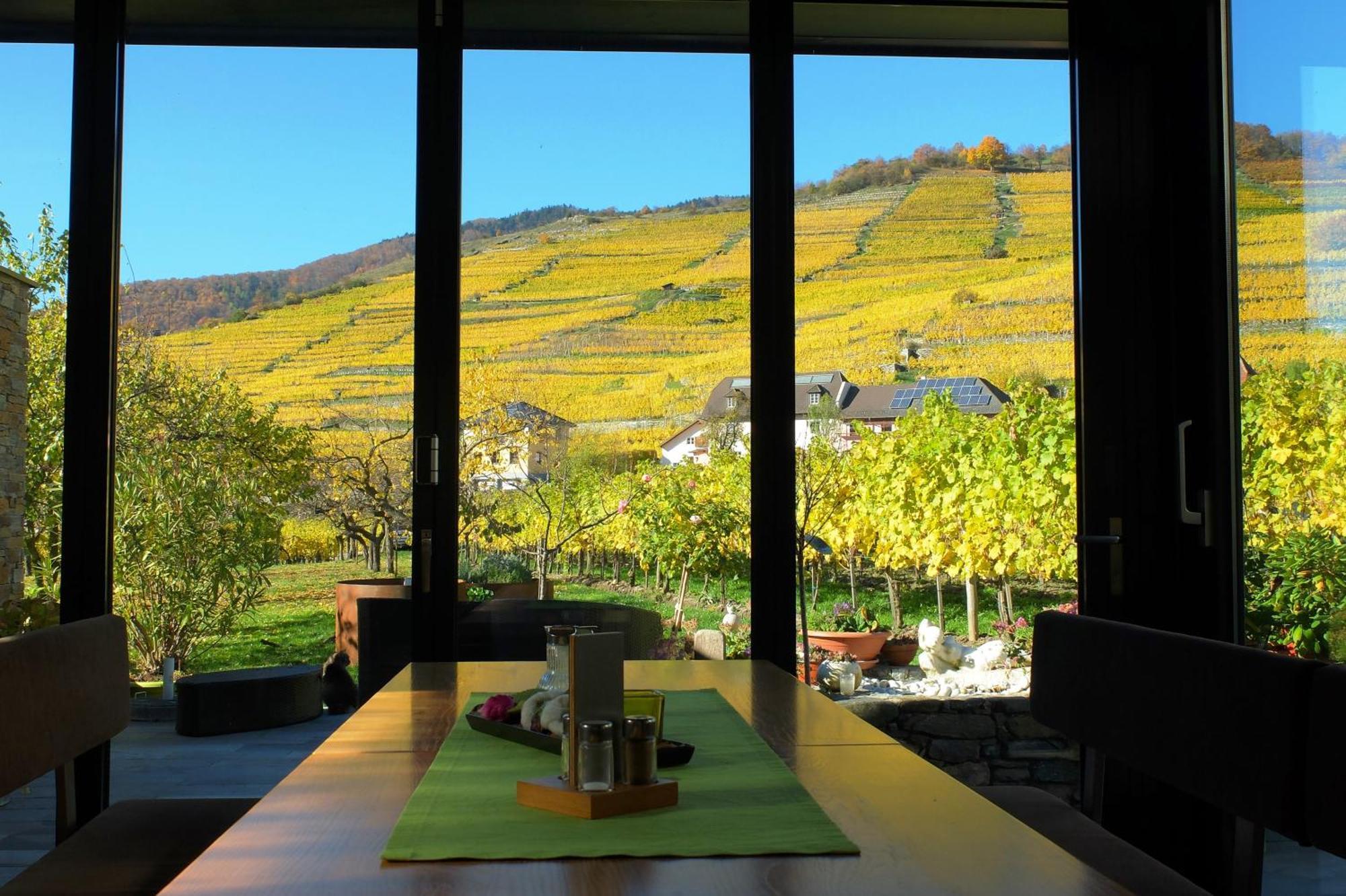 스핏즈 Weingut Donabaum "In Der Spitz" 아파트 객실 사진