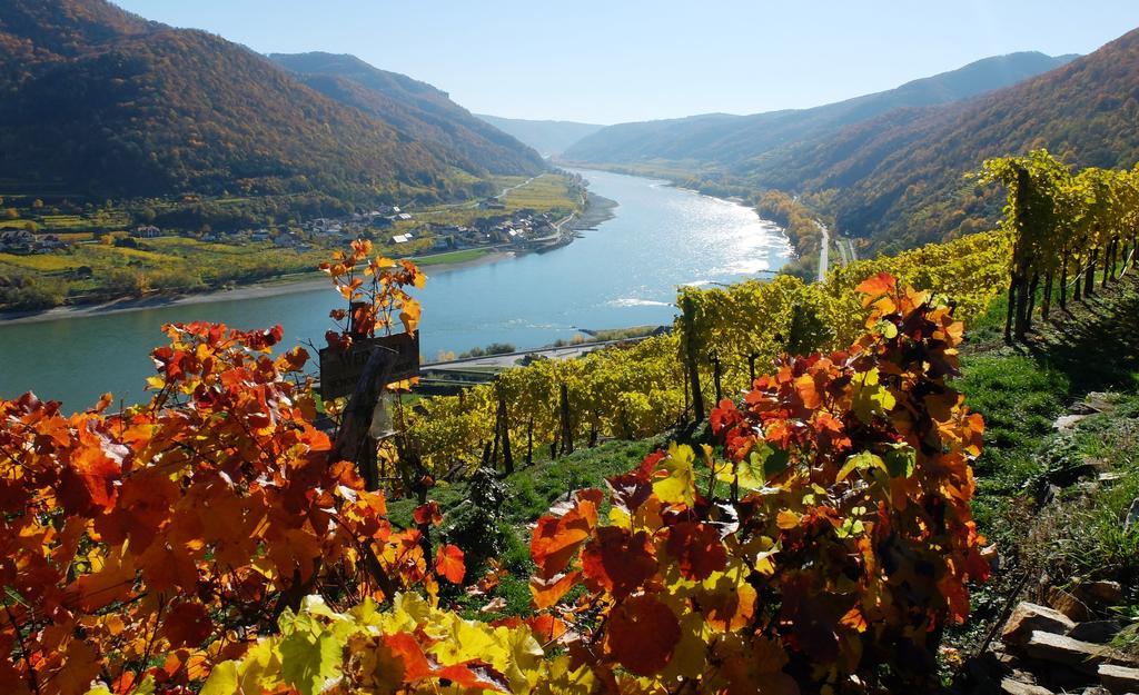 스핏즈 Weingut Donabaum "In Der Spitz" 아파트 외부 사진