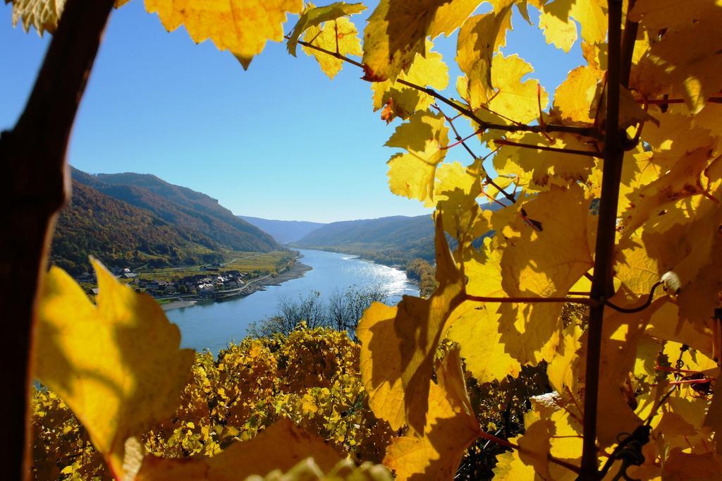 스핏즈 Weingut Donabaum "In Der Spitz" 아파트 외부 사진