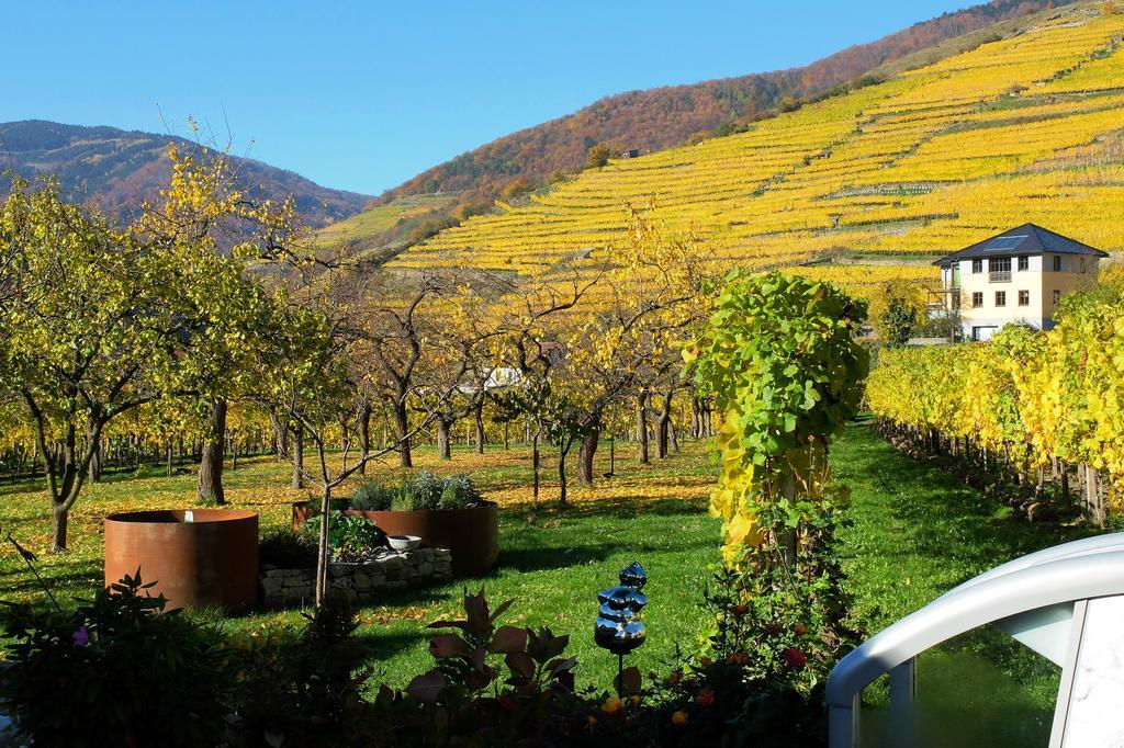 스핏즈 Weingut Donabaum "In Der Spitz" 아파트 외부 사진