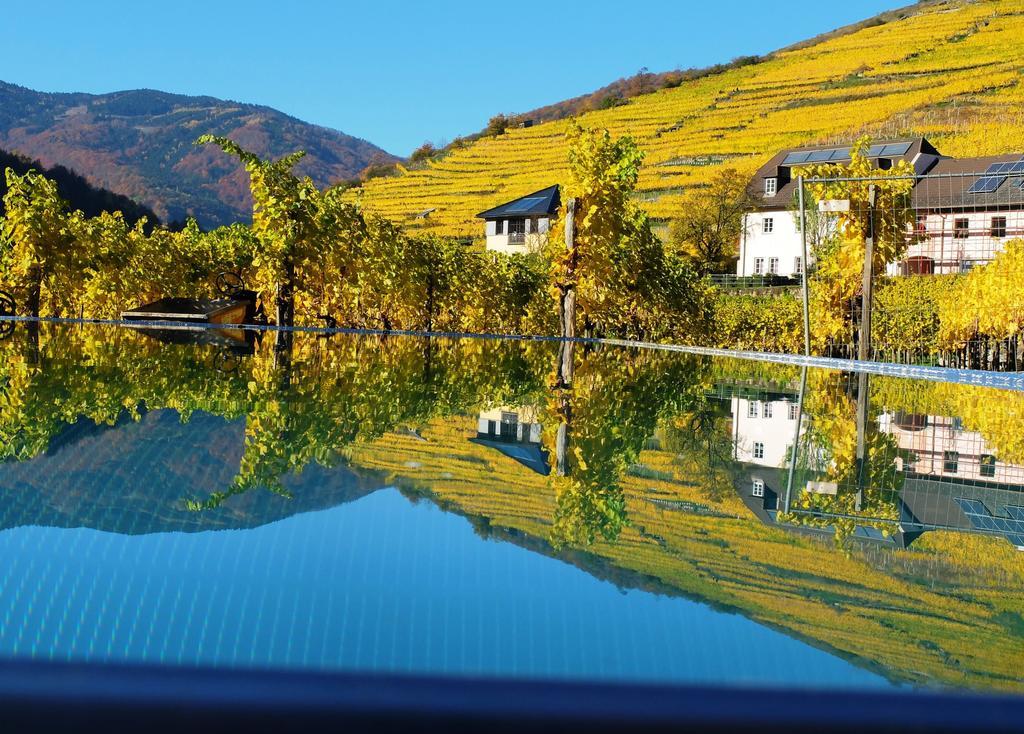 스핏즈 Weingut Donabaum "In Der Spitz" 아파트 외부 사진