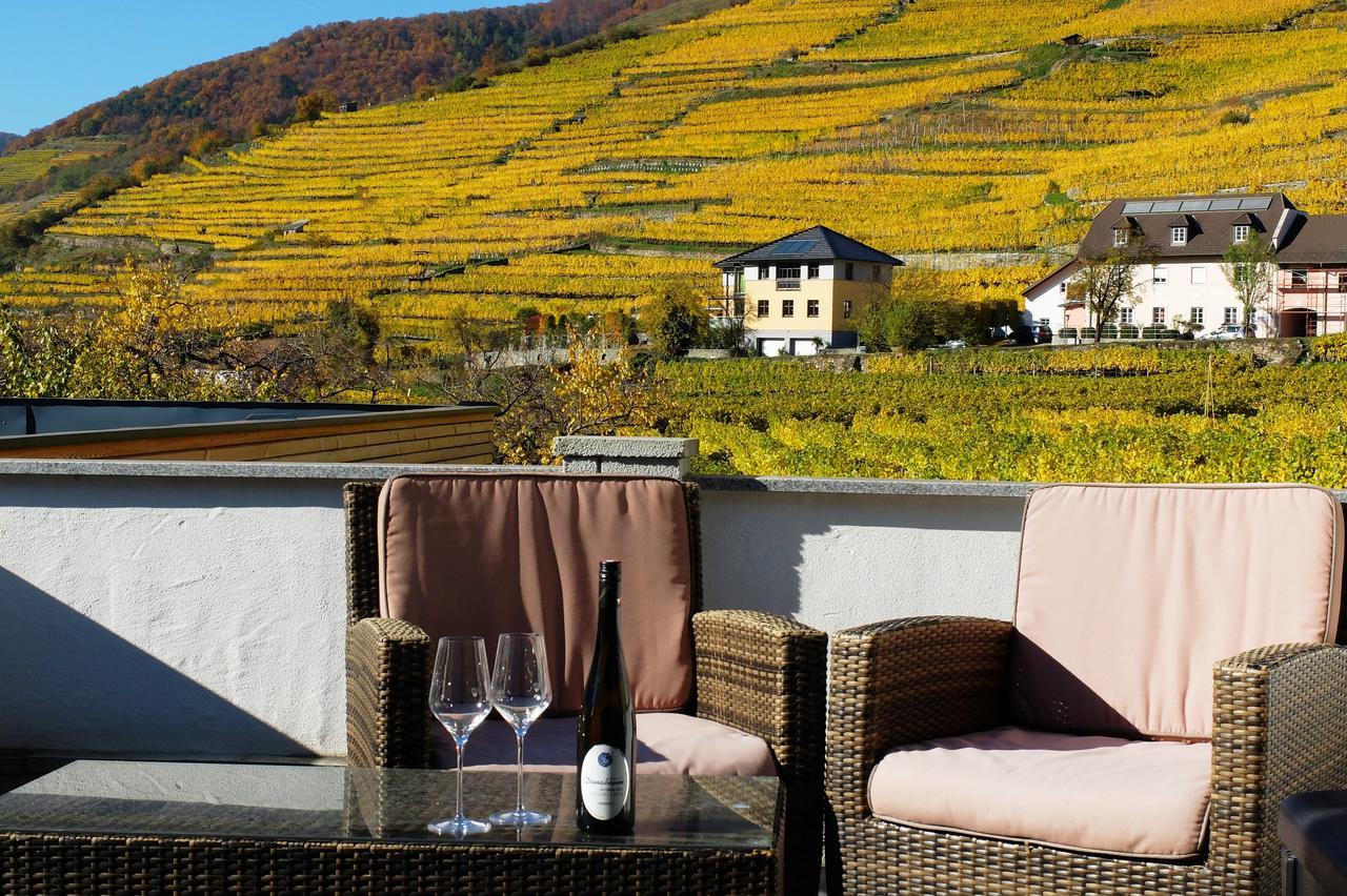 스핏즈 Weingut Donabaum "In Der Spitz" 아파트 외부 사진